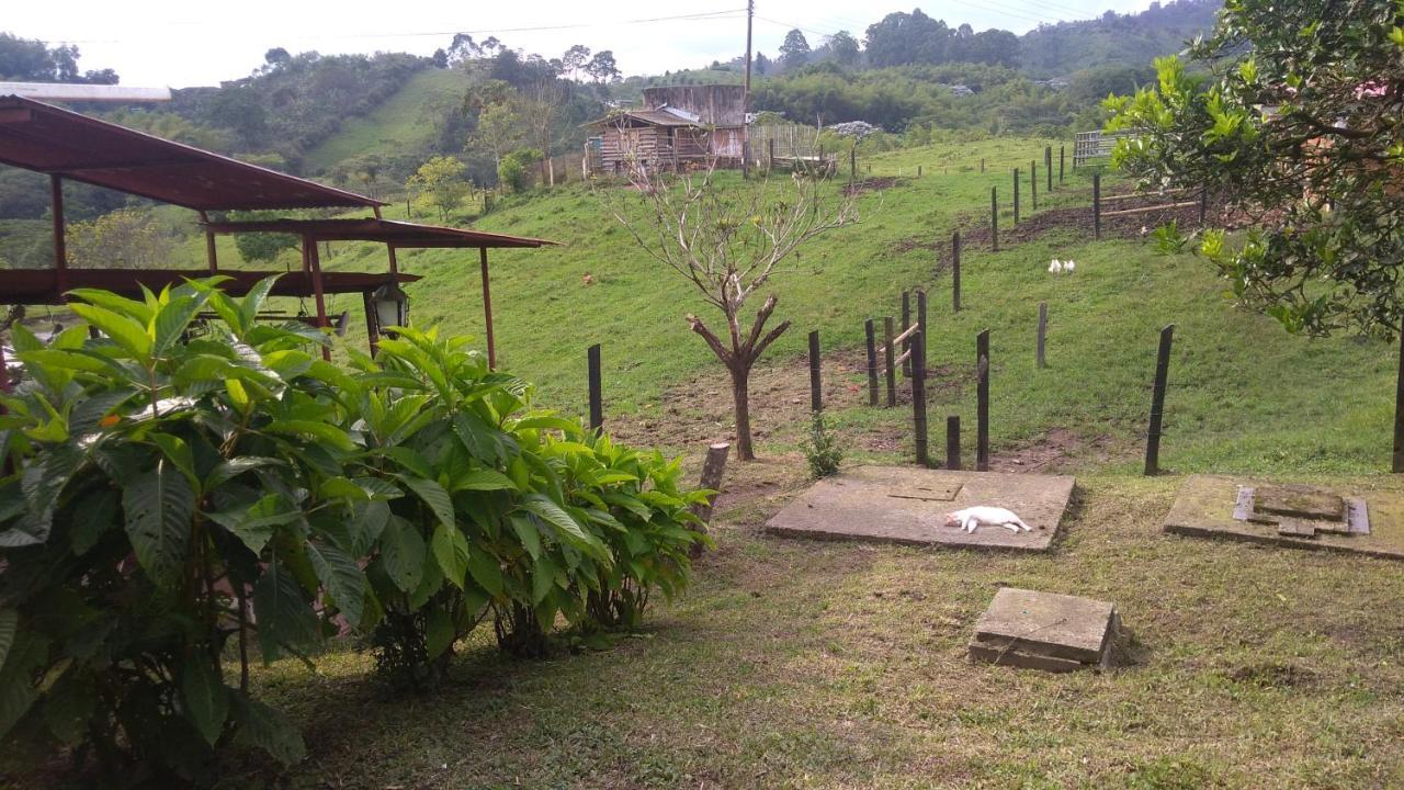 Vila Rancho Ventura Filandia Exteriér fotografie