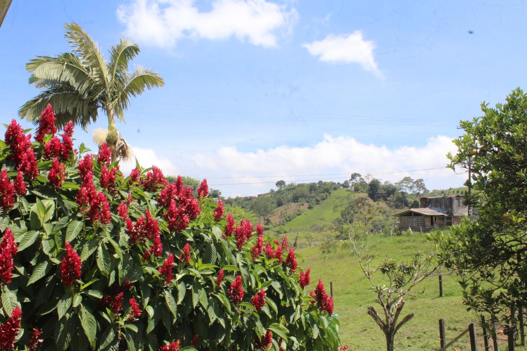 Vila Rancho Ventura Filandia Exteriér fotografie
